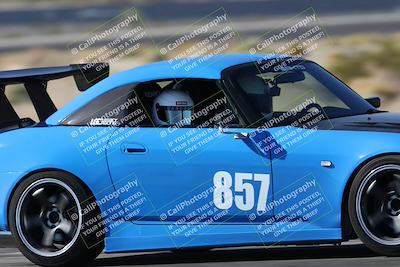 media/Oct-24-2025-Doghouse Garage (Fri) [[783d2ff07a]]/1-Advanced/Session 2 Turn 5 Tree of Life/